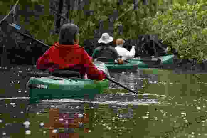 A Lone Kayaker Paddling Through A Narrow Marsh Channel At Low Tide Low Tide (The Forgotten Coast Florida Suspense 1)