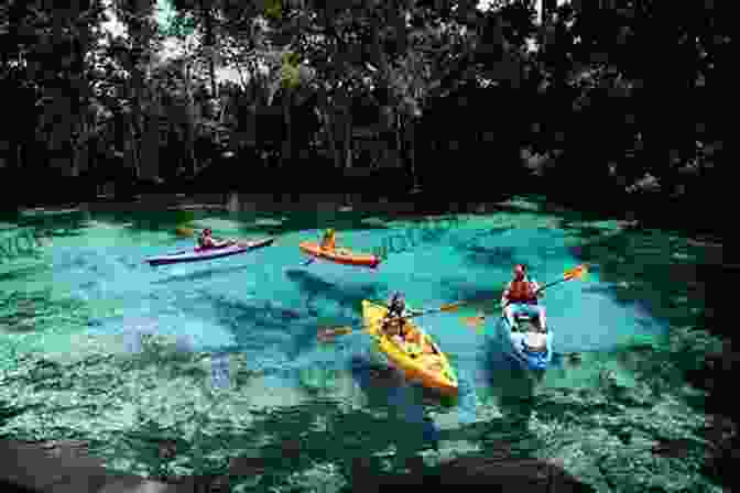 Canoe And Kayak In Florida Canoeing Kayaking Florida (Canoe And Kayak Series)