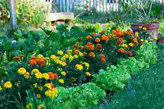 Companion Planting In A Garden BASIC SOIL SCIENCE For SUCCESSFUL VEGETABLE GARDENING: 7 Simple Steps To Ensure Your Traditional Raised Bed Container Or No Till Garden Isn T A Weed Filled Failure