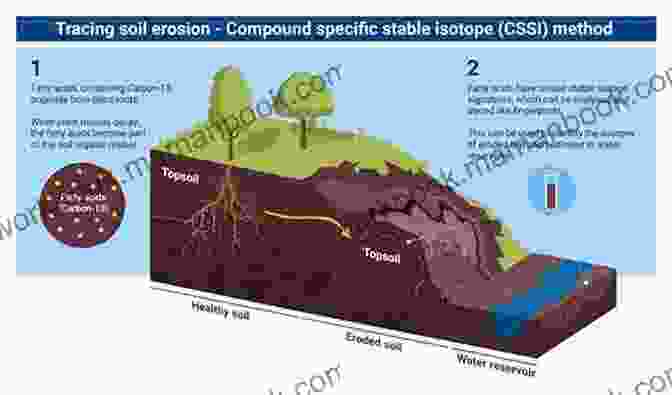 Image Of Eroded Soil, Showing The Effects Of Soil Degradation Protecting Your Child S Health: Expert Answers To Urgent Environmental Questions