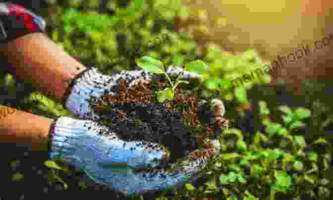 Pest Control In A Garden BASIC SOIL SCIENCE For SUCCESSFUL VEGETABLE GARDENING: 7 Simple Steps To Ensure Your Traditional Raised Bed Container Or No Till Garden Isn T A Weed Filled Failure