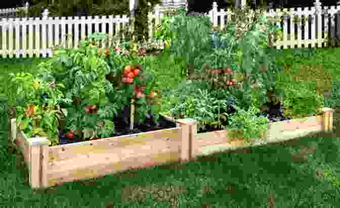 Planting Vegetables In A Raised Bed BASIC SOIL SCIENCE For SUCCESSFUL VEGETABLE GARDENING: 7 Simple Steps To Ensure Your Traditional Raised Bed Container Or No Till Garden Isn T A Weed Filled Failure