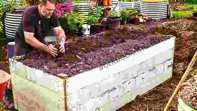 Preparing Soil For A Raised Bed BASIC SOIL SCIENCE For SUCCESSFUL VEGETABLE GARDENING: 7 Simple Steps To Ensure Your Traditional Raised Bed Container Or No Till Garden Isn T A Weed Filled Failure