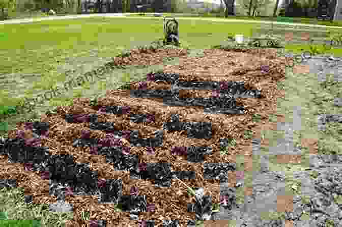 Preparing Soil For No Till Gardening BASIC SOIL SCIENCE For SUCCESSFUL VEGETABLE GARDENING: 7 Simple Steps To Ensure Your Traditional Raised Bed Container Or No Till Garden Isn T A Weed Filled Failure