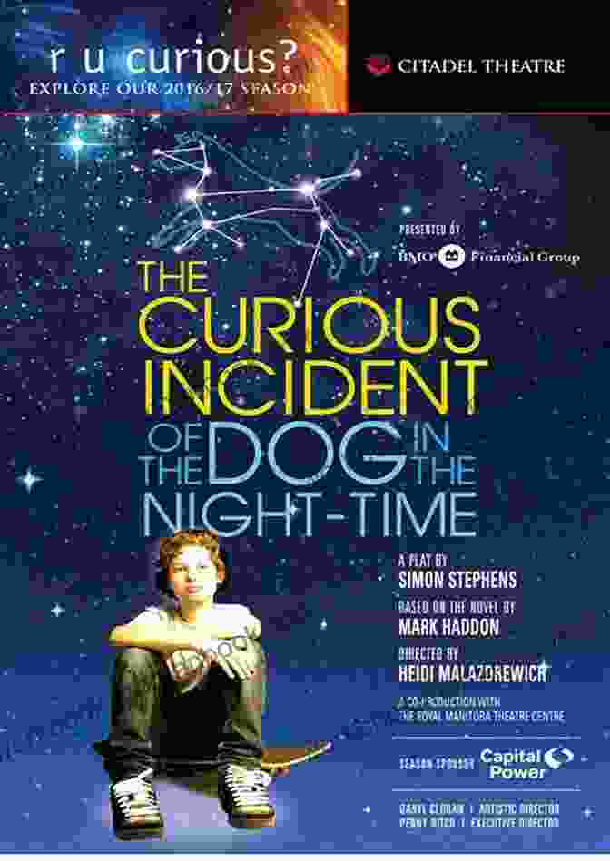 The Curious Incident Of The Dog In The Night Time Poster, Featuring A Boy Standing In A Field, Surrounded By Stars The CTR Anthology: Fifteen Plays From Canadian Theatre Review: Fifteen Plays From The Canadian Theatre Review (Heritage)